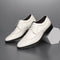 Pantofi eleganți cu vârf brodat, cu închidere cu șiret și suprafață uniformă pentru bărbați