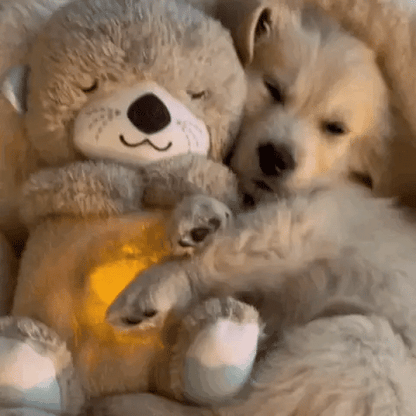 CalmiBear – Îmbrățișare liniștitoare pentru confort și relaxare