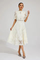 Women Guipure Lace High-Neck A-Line Midi Dress