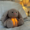 CalmiBear – Îmbrățișare liniștitoare pentru confort și relaxare