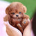 Electronic Plush Robot Dog Walking Barking Interactive Toy
